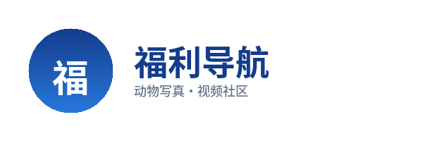 福利导航